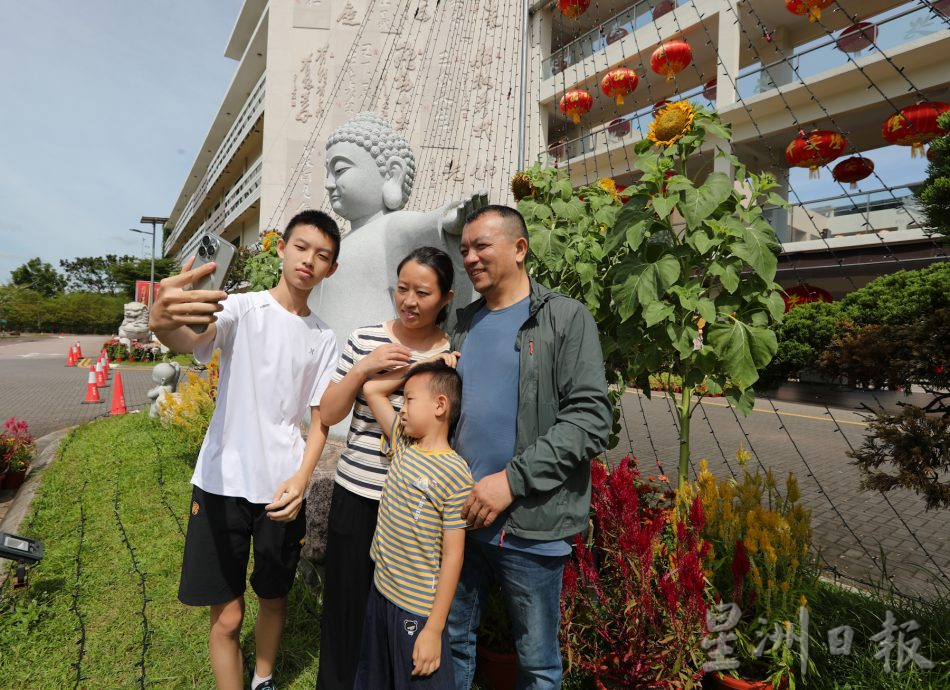新马寺向日葵花开