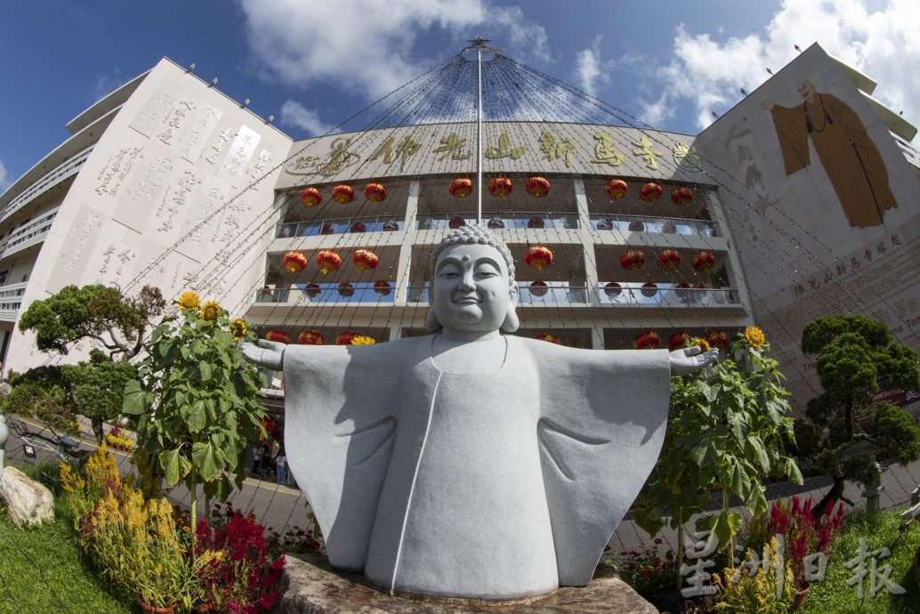 新马寺向日葵花开