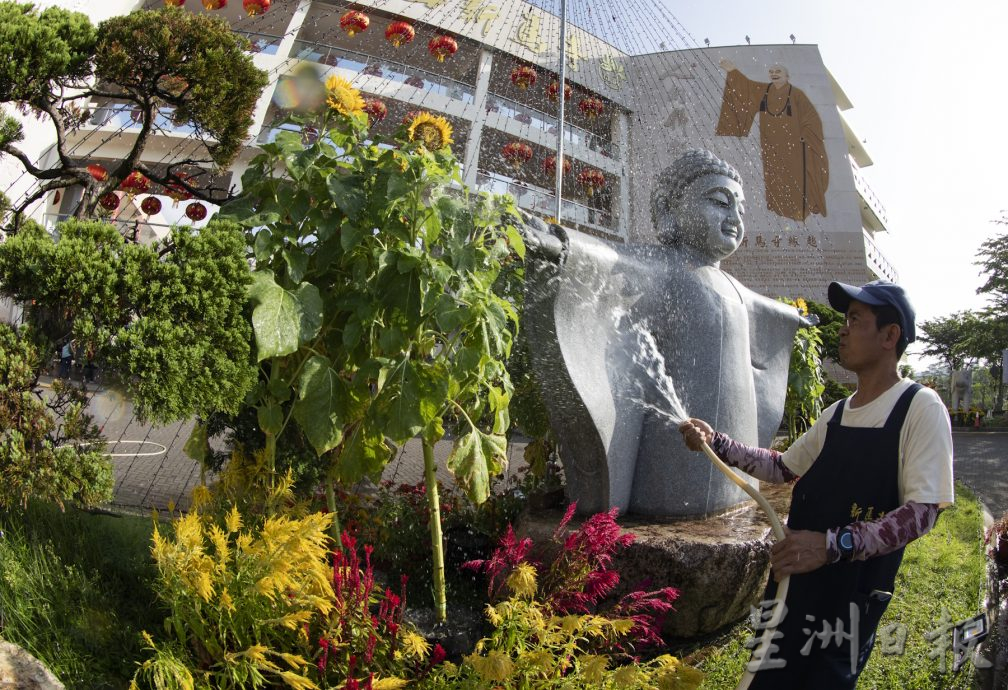 新马寺向日葵花开