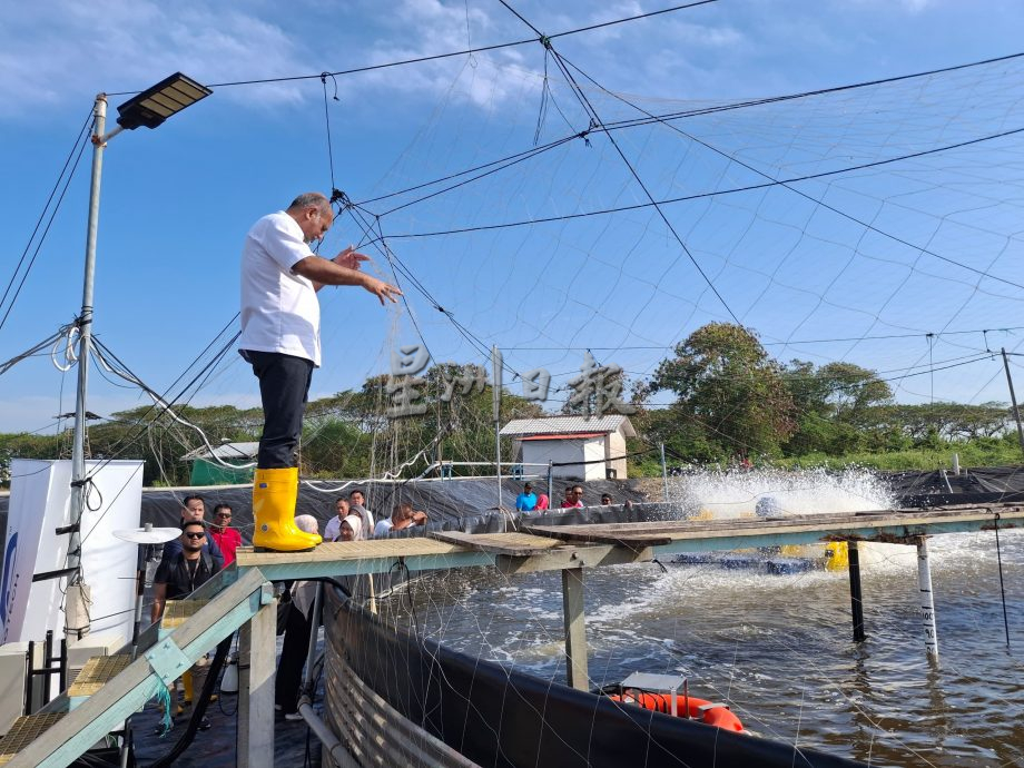 MDEC着重农业州,助农民掌握数字科技提升产量