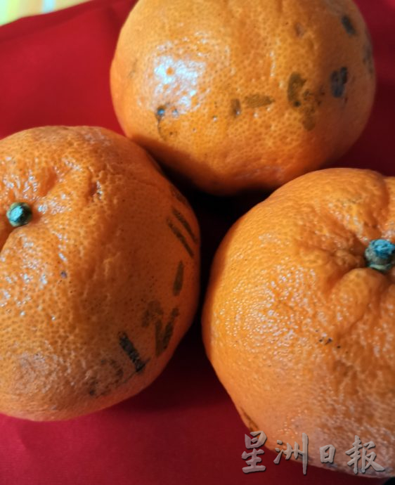 中西情人节相遇 庙宇抛柑热