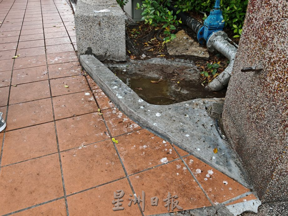 （古城封面主文）陈金声桥旁游客来往，周围却布满鸟粪如“下雪”