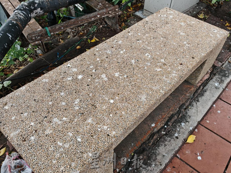 (古城封面主文)陈金声桥旁游客来往,周围却布满鸟粪如“下雪”