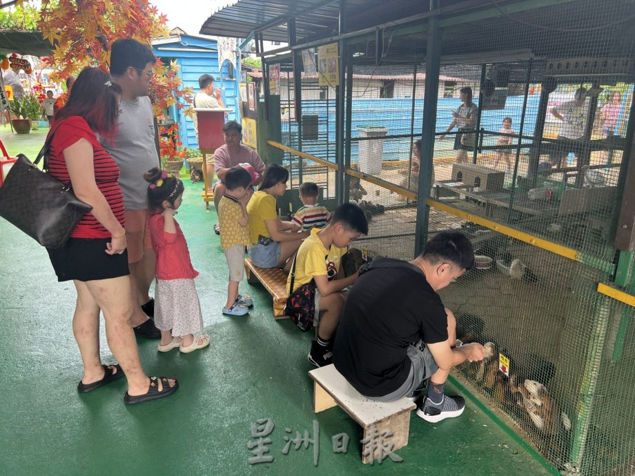 (古城第二版主文)放下手机·新春接触小动物感受童真快乐