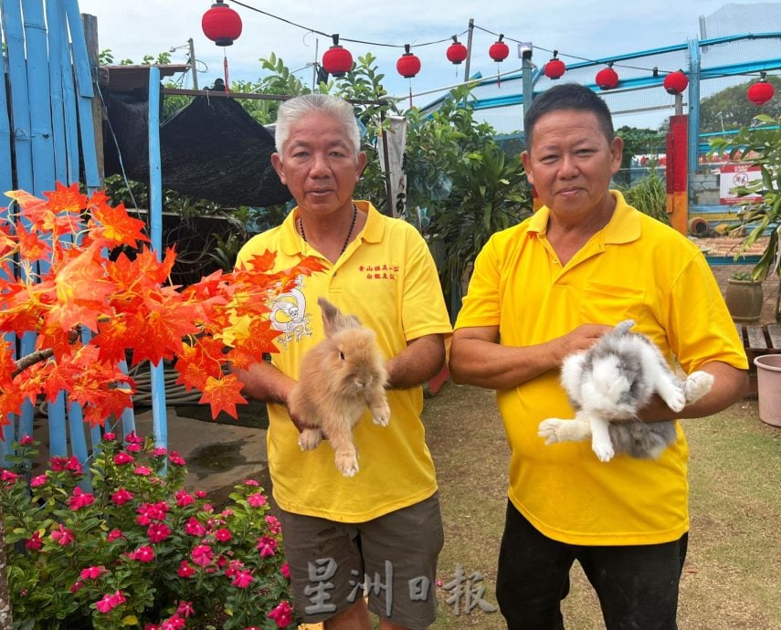 (古城第二版主文)放下手机·新春接触小动物感受童真快乐