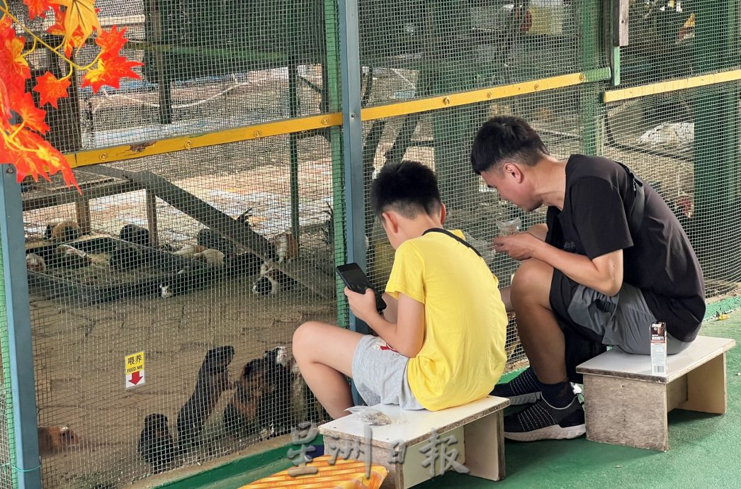 (古城第二版主文)放下手机·新春接触小动物感受童真快乐