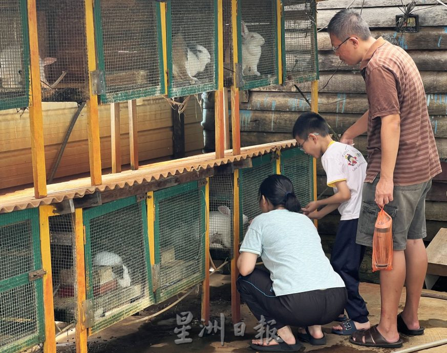 (古城第二版主文)放下手机·新春接触小动物感受童真快乐