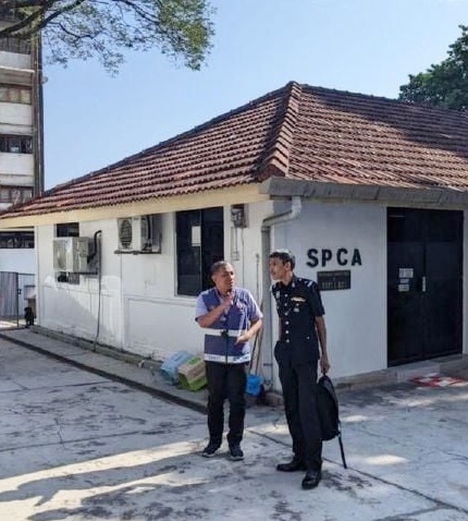 (大北马)10猫尸弃SPCA会所外垃圾桶,槟兽医局已介入调查