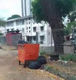 (大北马)10猫尸弃SPCA会所外垃圾桶,槟兽医局已介入调查