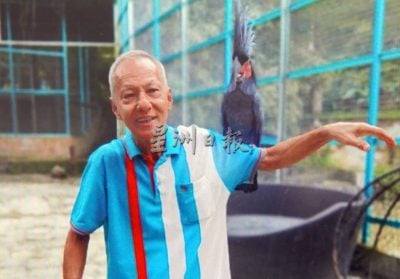 (大北马)巴东勿刹金花园2死3伤车祸,死者家属居民冀引关注装红绿灯