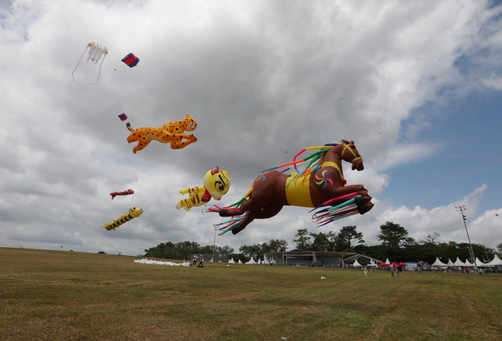 第27届巴西古当国际风筝节 宣扬环境卫生重要性