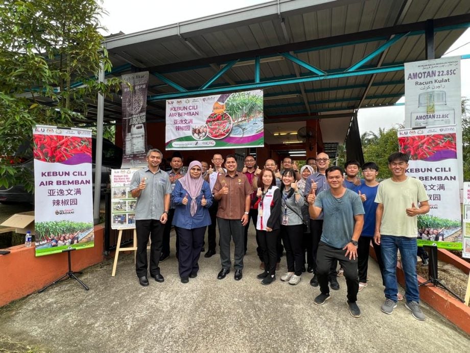 （已签发）柔：**版头或显刊**亚逸文满新村与UTHM   联手打造辣椒园喜迎收成