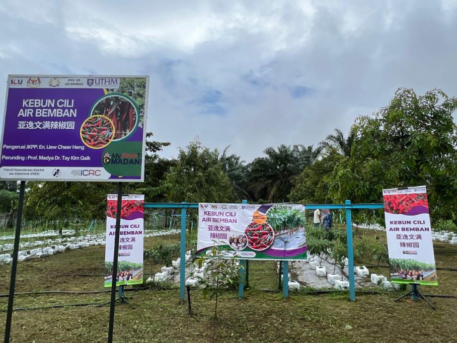 （已签发）柔：**版头或显刊**亚逸文满新村与UTHM   联手打造辣椒园喜迎收成
