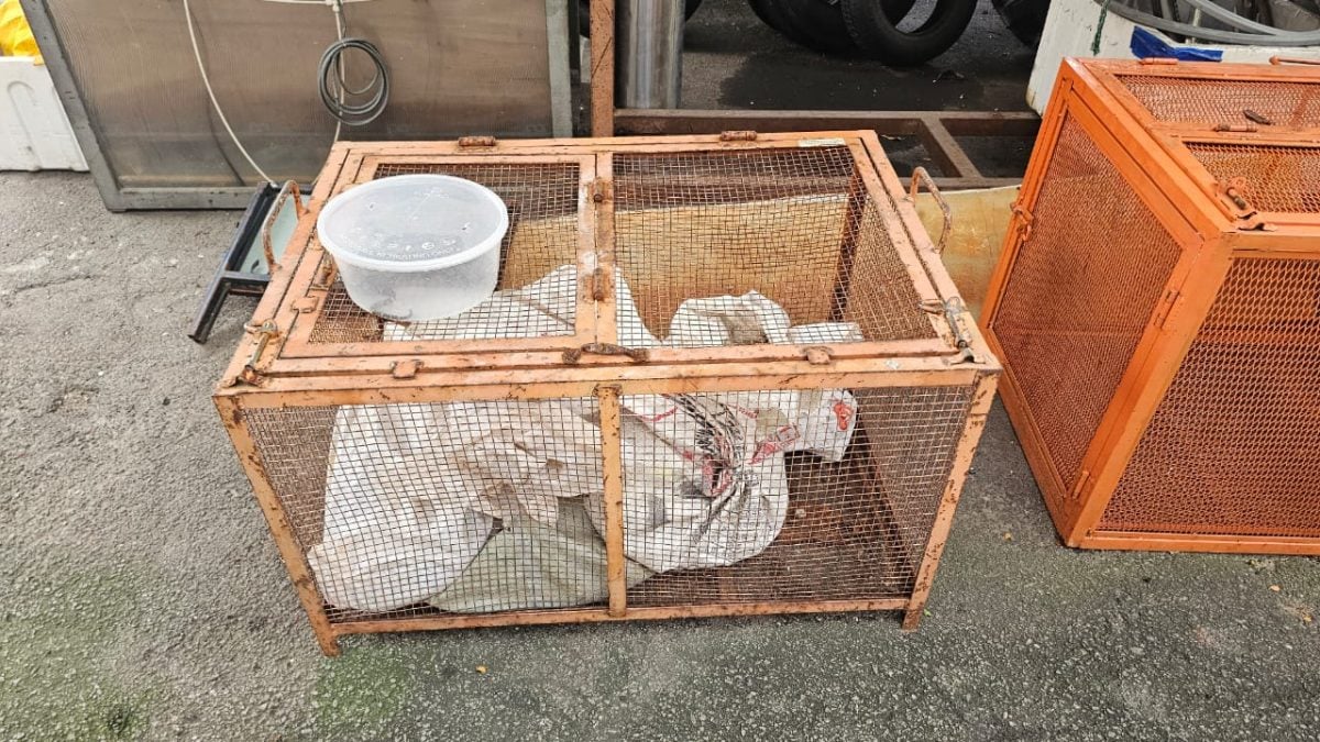 （新年特稿）MZ07：民防部队专解疑难杂症，“捕蛇”也难不倒！