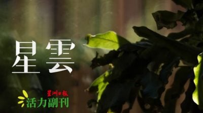 古晋人与大树/陈奕尔（古晋）