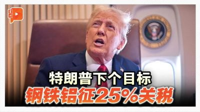 特朗普拟对进口钢铁铝 征25%新关税