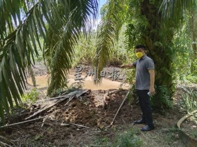 Carcasses of over 100 dead pigs infected with African Swine Fever cleared by authorities in Negeri Sembilan