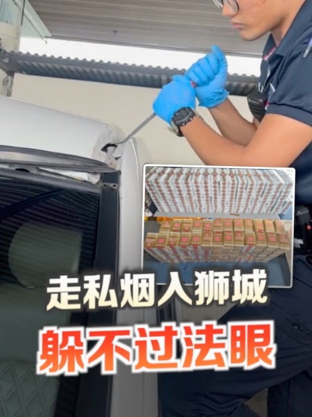 躲不过法眼 大马车走私香烟被识破