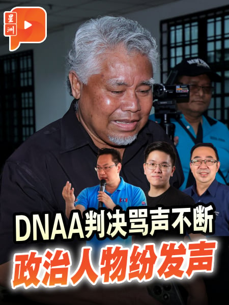 DNAA判决骂声不断 政治人物纷发声