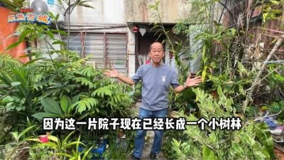 视频 | 独居老伯院子成树林 垃圾成堆 火箭特工队3小时清干净！