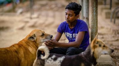 The silent struggle: Protecting Bangladesh’s wildlife, from forests to cities