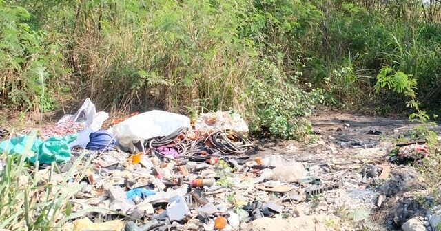 母子为财产问题 合谋弑夫弑父抛尸林中