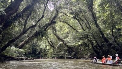 【雨林变色／03】推动生态旅游创造经济价值，保护雨林生命生生不息