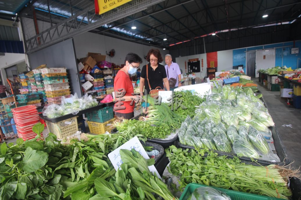 东01：雨天影响生长，价格暴跌的叶菜已回升30至40%