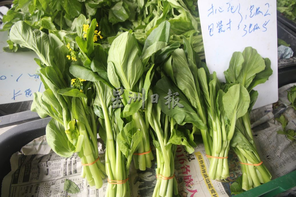 东01：雨天影响生长，价格暴跌的叶菜已回升30至40%