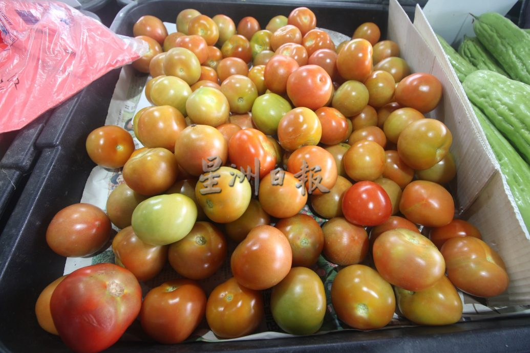 东：雨天影响生长，价格暴跌的叶菜已回升30至40%