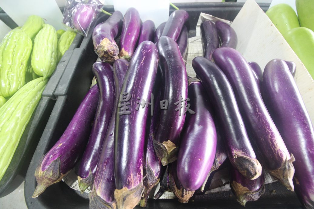 东：雨天影响生长，价格暴跌的叶菜已回升30至40%