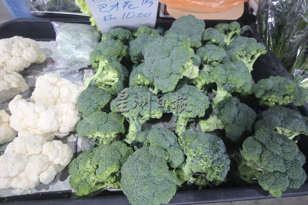 东：雨天影响生长，价格暴跌的叶菜已回升30至40%