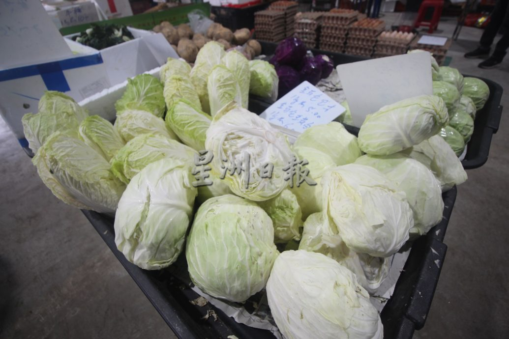 东：雨天影响生长，价格暴跌的叶菜已回升30至40%