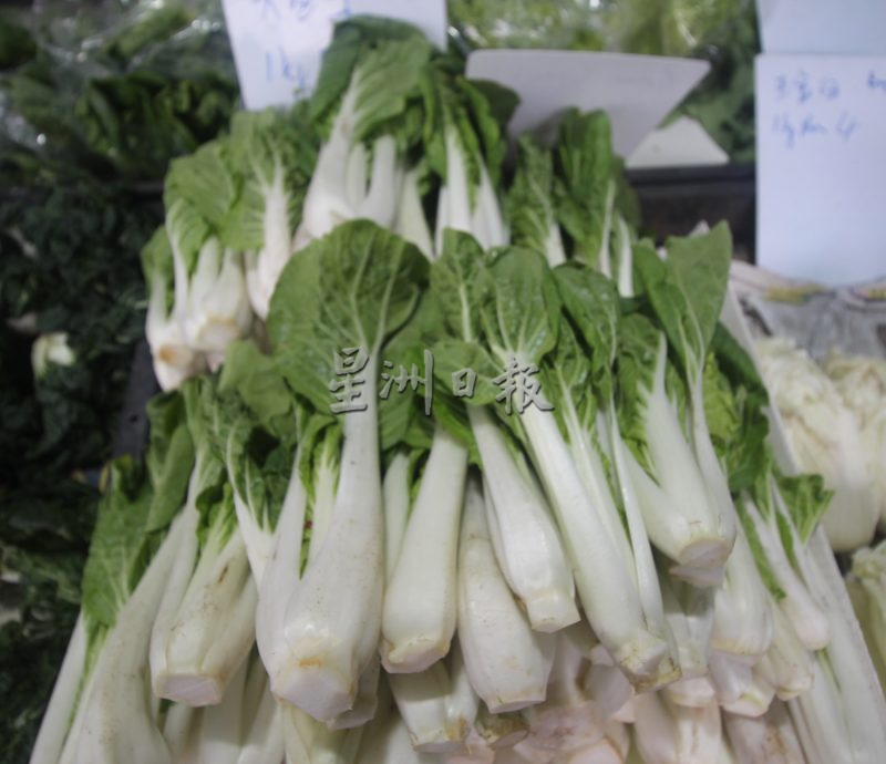 东：雨天影响生长，价格暴跌的叶菜已回升30至40%