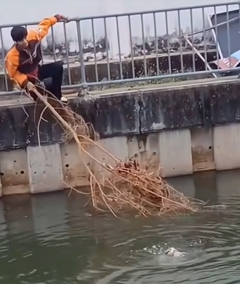 为救猫咪以身犯险 泰7-11奖励爱猫员工
