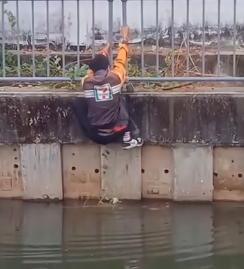 为救猫咪以身犯险 泰7-11奖励爱猫员工