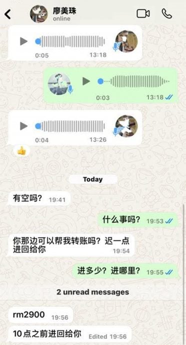 供星洲网/ 被优惠产品吸引，马华支会妇女主席按下衔接后手机被骇，四处向联系人借钱