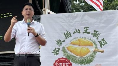 劳勿榴梿农民再胜一局 上诉庭驳回撤案申请