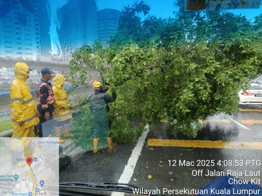 午后大雨 占美清真寺轻快铁站墙塌 市中心和甲洞都有树倒