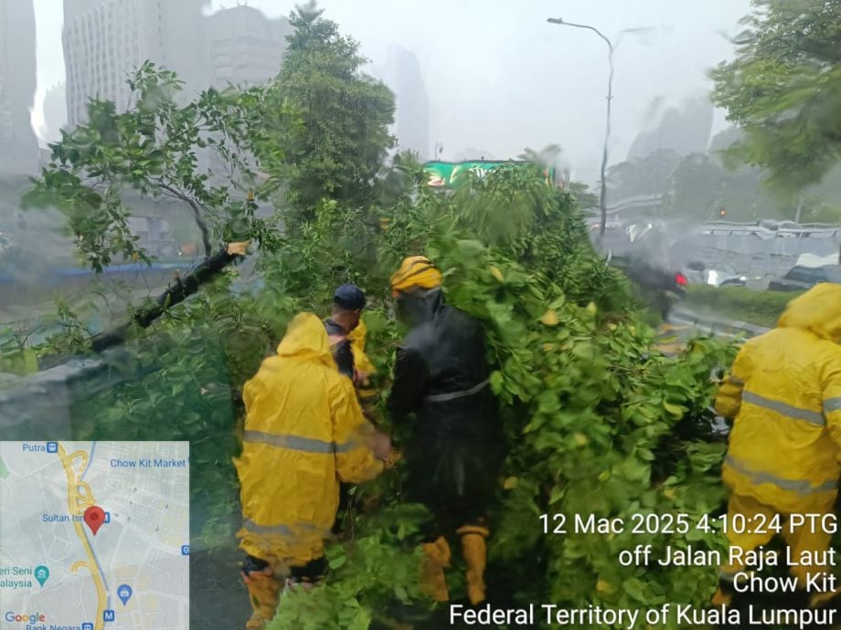 午后大雨 占美清真寺轻快铁站墙塌 市中心和甲洞都有树倒