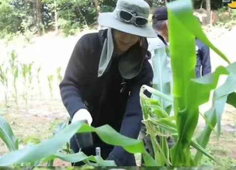 土地10年卖不出惨赔 ​金贤重曝改行当农夫原因