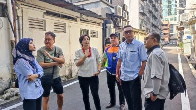 废宅巨树风险高    居民要求市局砍伐