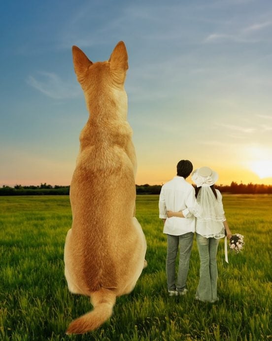 孙协志再婚夏宇童 前妻韩瑜6字回应