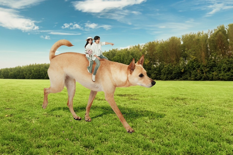 孙协志夏宇童结婚了 稳交6年“1家3口”晒恩爱