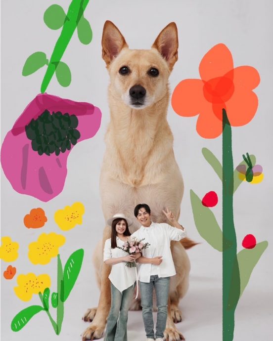 孙协志夏宇童结婚了 稳交6年“1家3口”晒恩爱