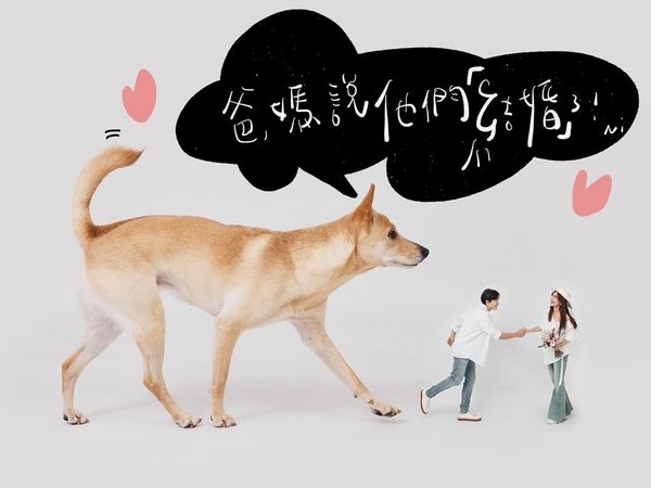 孙协志夏宇童结婚了 稳交6年“1家3口”晒恩爱