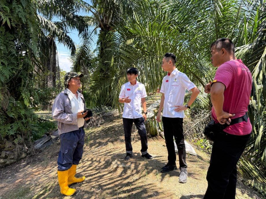 安顺火箭考察双溪泗里农村 许领贤：推动郊区基建提升