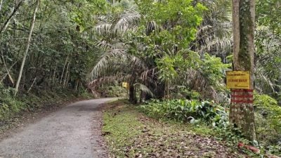 怡市厅接管升旗山亮绿灯 谢保恒澄清登山没收费