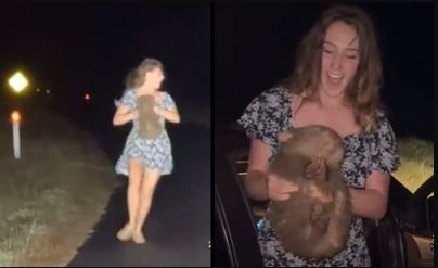 拚盘(更新)/美女网红为拍片强抱走袋熊宝宝惹民愤 澳洲万人联署促逐出境