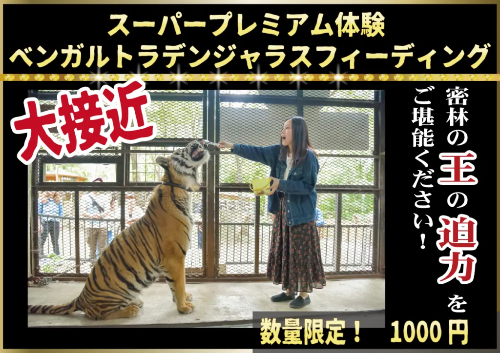 拼盘 日本“最危险动物园”9月底关闭 500动物去向不明